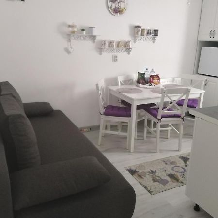 Appartamento La Monica 2 - Cazare Straja - Lupeni - Retezat - Parang Esterno foto