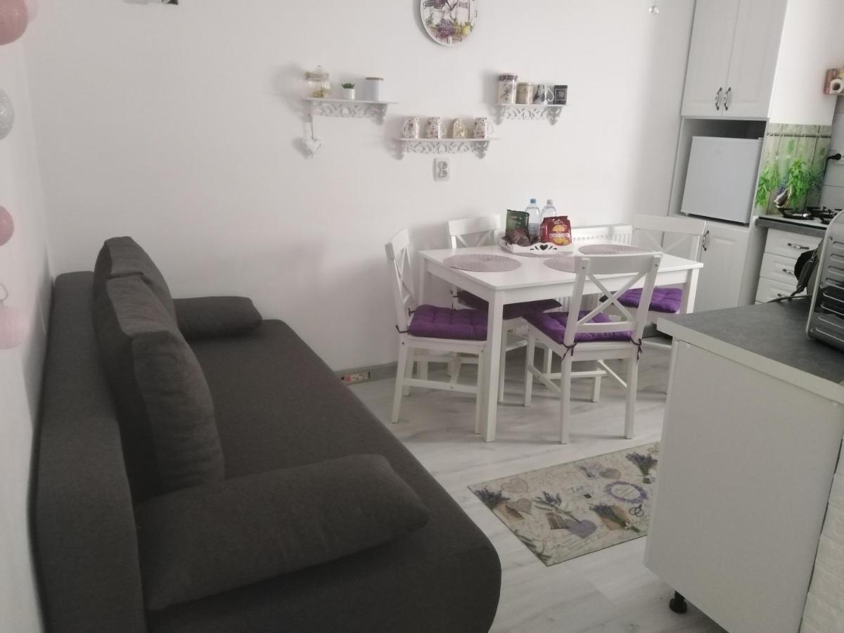 Appartamento La Monica 2 - Cazare Straja - Lupeni - Retezat - Parang Esterno foto