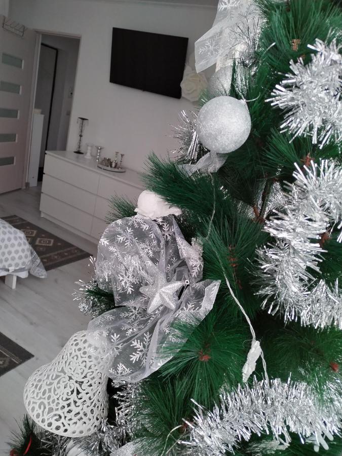 Appartamento La Monica 2 - Cazare Straja - Lupeni - Retezat - Parang Esterno foto